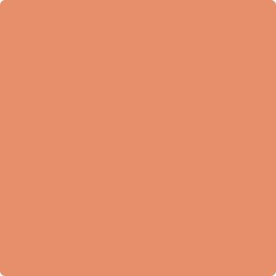 75-Flamingo: Orange a paint color by Benjamin Moore avaiable at Clement's Paint in Austin, TX.