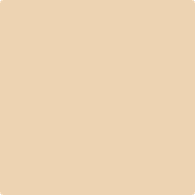 1108-Chamois: a paint color by Benjamin Moore avaiable at Clement's Paint in Austin, TX.
