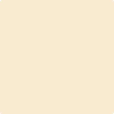 113-Pumpkin: Seeds a paint color by Benjamin Moore avaiable at Clement's Paint in Austin, TX.