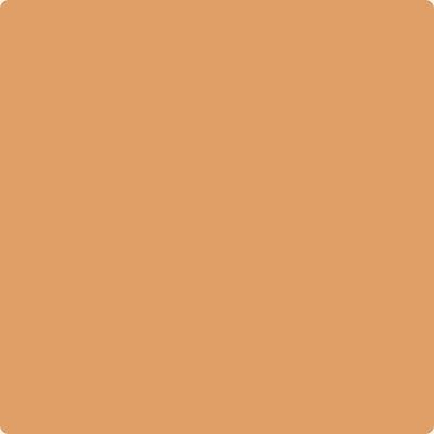 118-Grand: Canyon a paint color by Benjamin Moore avaiable at Clement's Paint in Austin, TX.