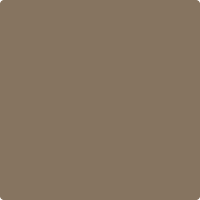 987-Buckhorn: a paint color by Benjamin Moore avaiable at Clement's Paint in Austin, TX.