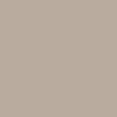CC-454: Cobblestone a paint color by Benjamin Moore avaiable at Clement's Paint in Austin, TX.