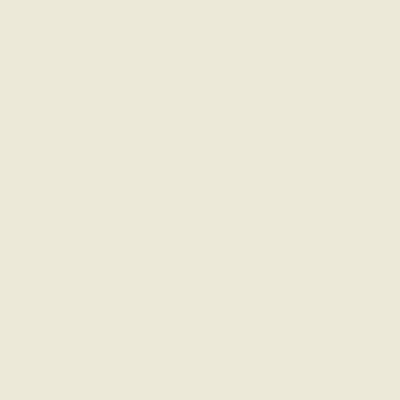 CC-50: White Down a paint color by Benjamin Moore avaiable at Clement's Paint in Austin, TX.
