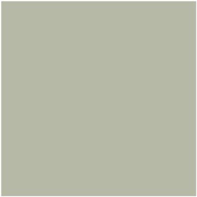 CC-550: October Mist a paint color by Benjamin Moore avaiable at Clement's Paint in Austin, TX.