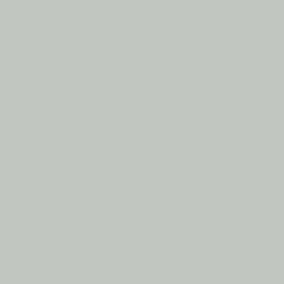 CC-670: Gray Wisp a paint color by Benjamin Moore avaiable at Clement's Paint in Austin, TX.
