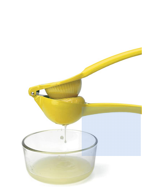 GT-3949DPBB Lemon/LimeSqueezer