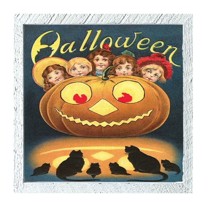 Square / XL / White