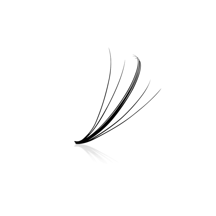 Wispy 5D ProMade Fans - 0.07 - XL Tray - Paris Lash Academy