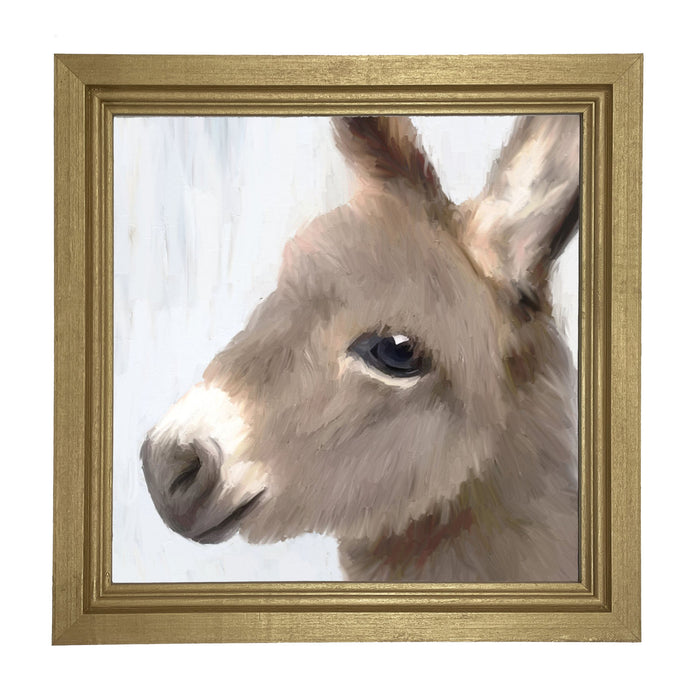 Baby Donkey - Framed art