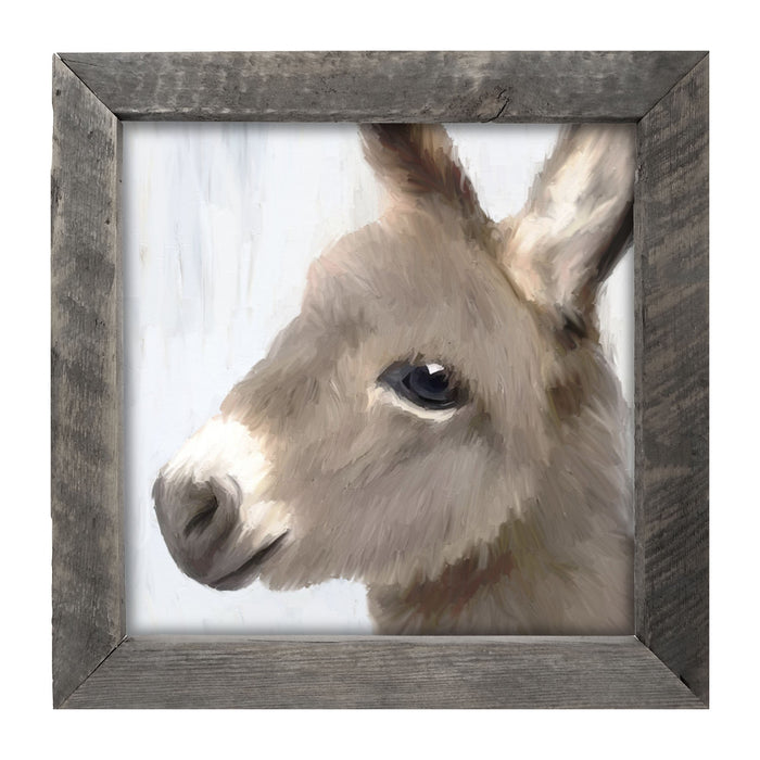 Baby Donkey - Framed art
