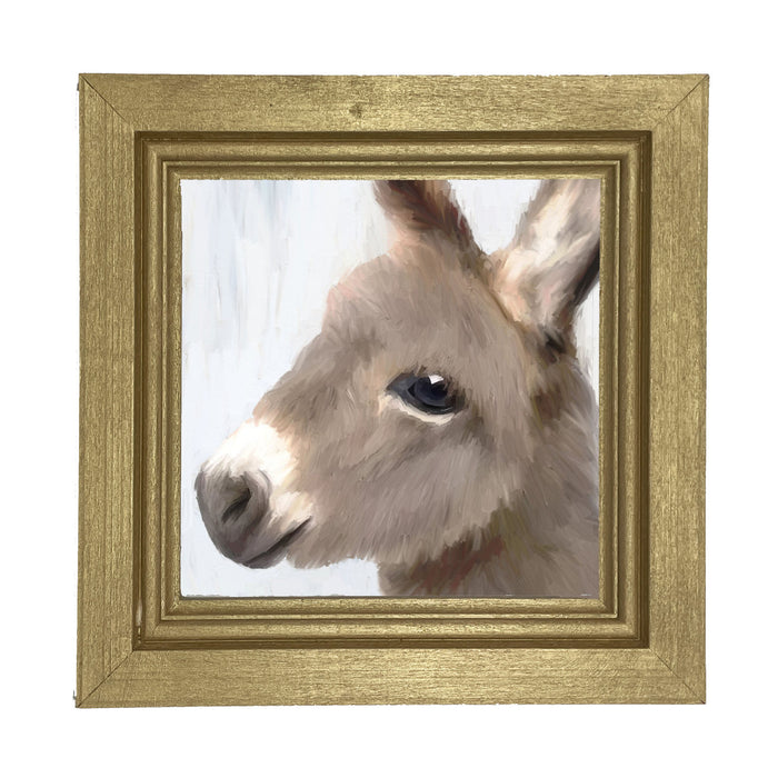 Baby Donkey - Framed art