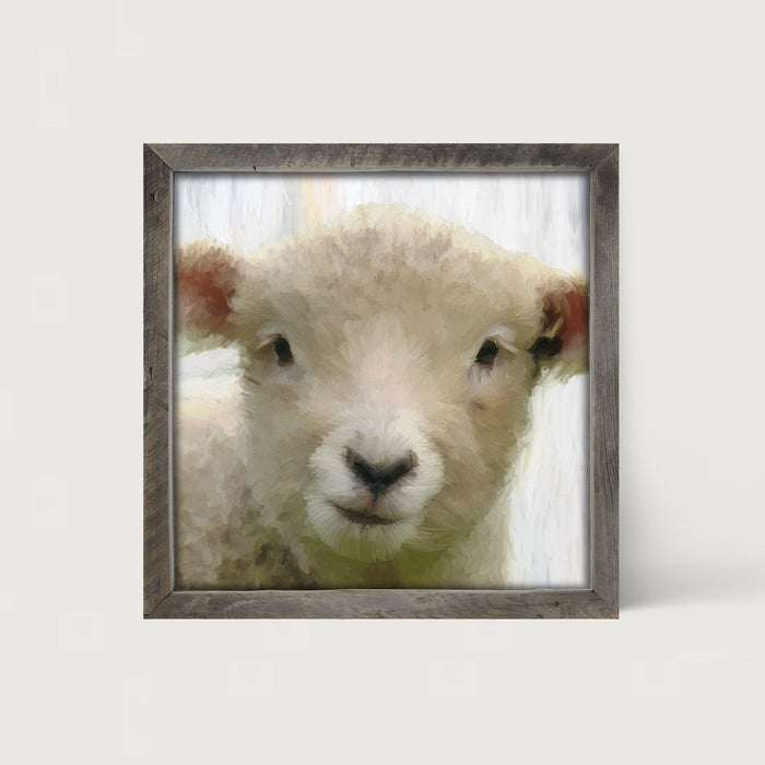 Baby Lamb - Framed art