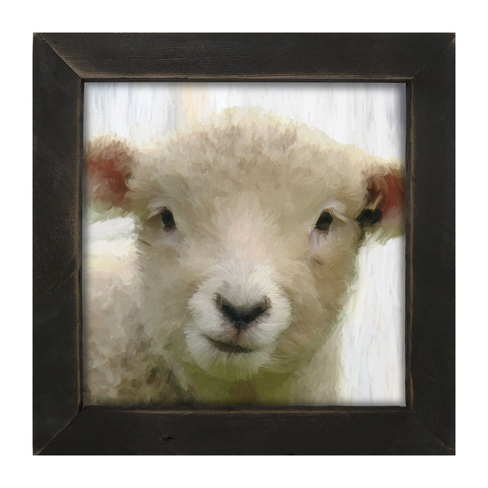 Baby Lamb - Framed art