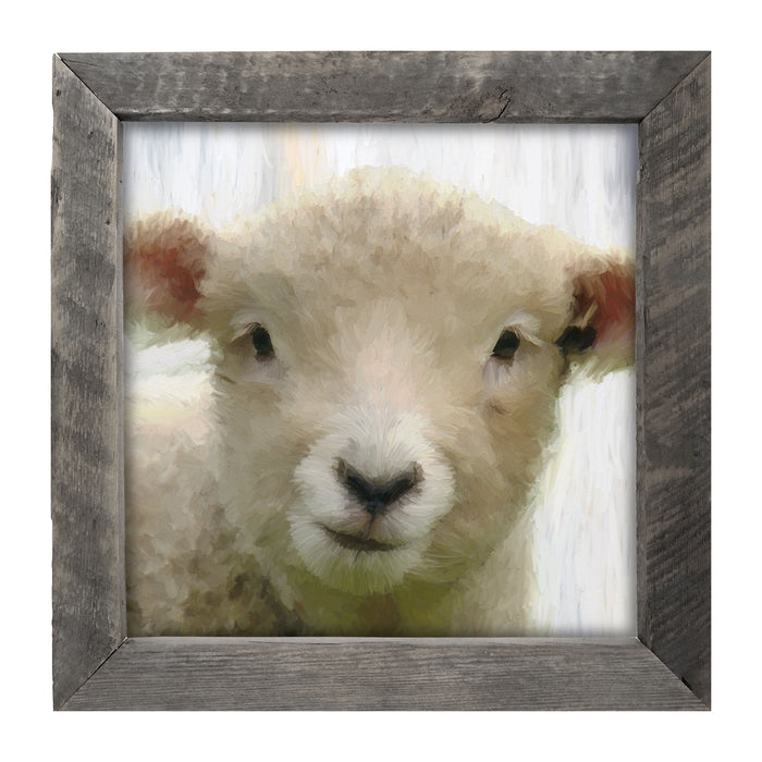 Baby Lamb - Framed art