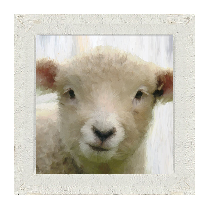 Baby Lamb - Framed art