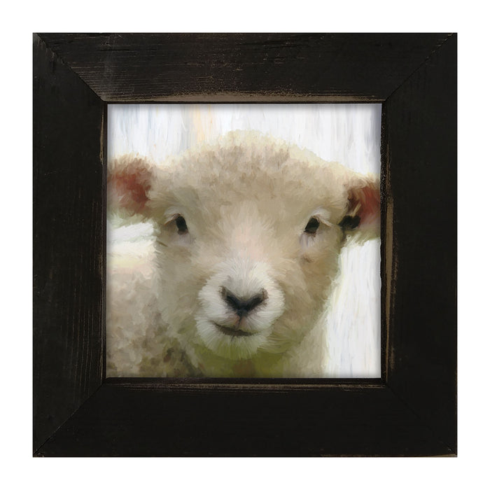 Baby Lamb - Framed art