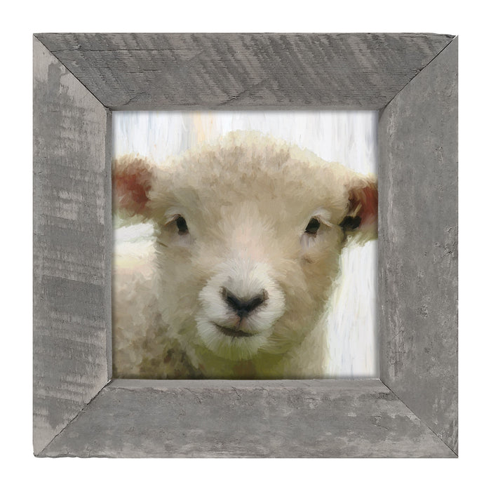 Baby Lamb - Framed art