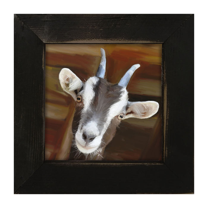 Billy Goat - Framed art