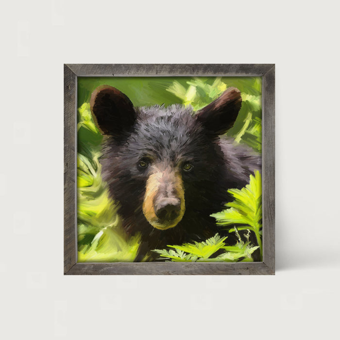 Black Bear Cub - Framed art