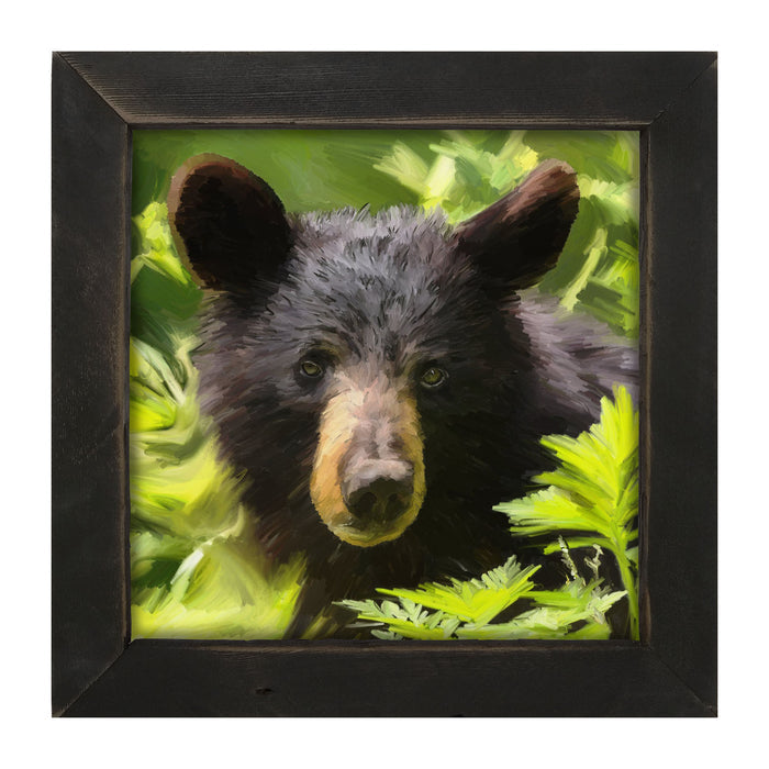 Black Bear Cub - Framed art