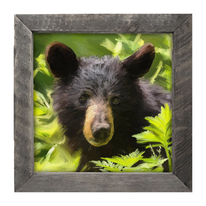Black Bear Cub - Framed art