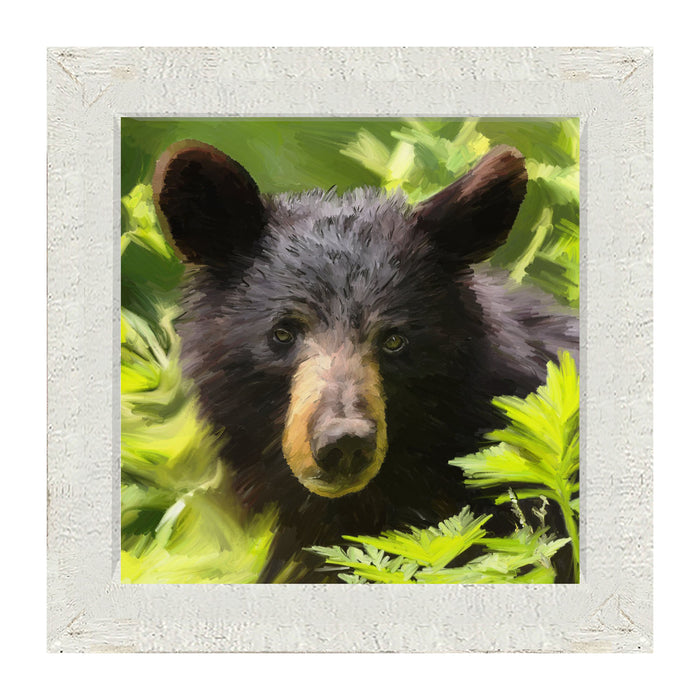 Black Bear Cub - Framed art