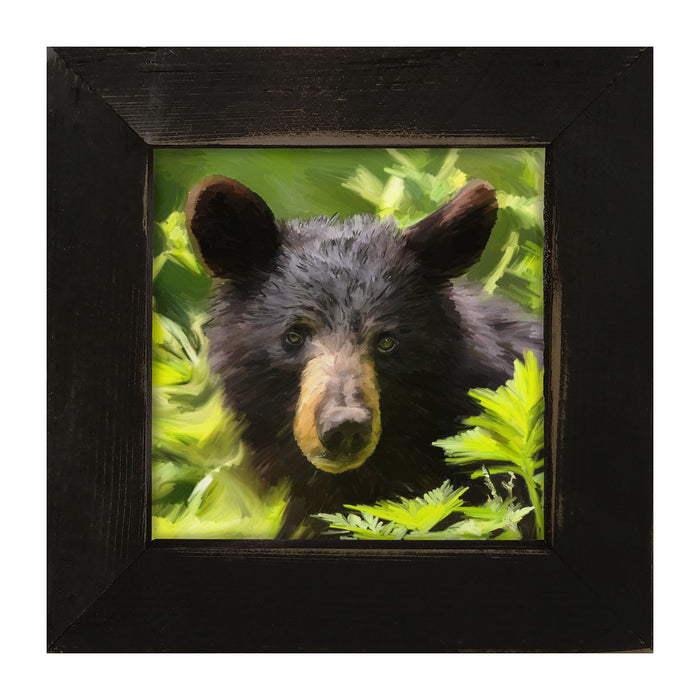 Black Bear Cub - Framed art
