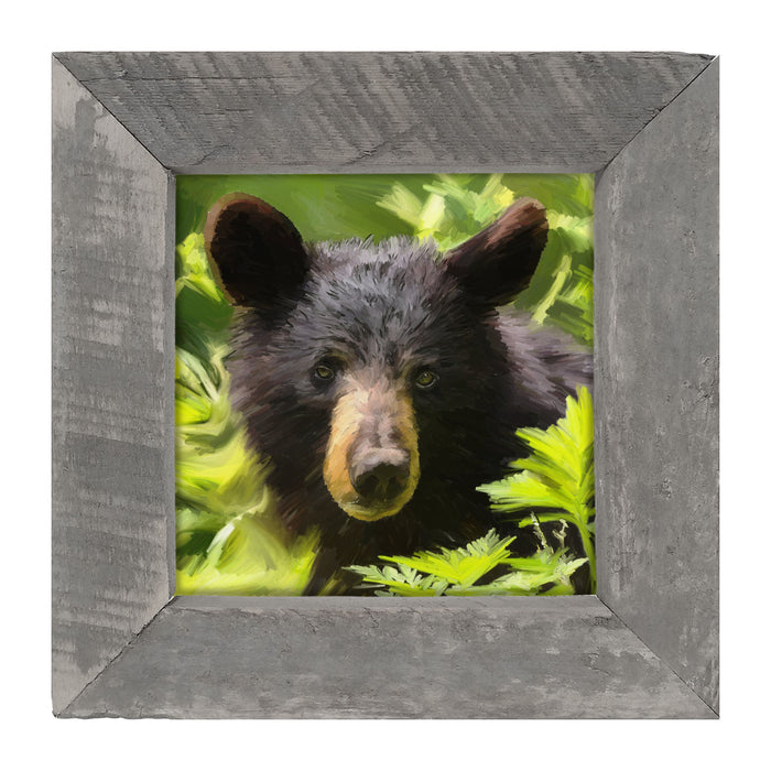Black Bear Cub - Framed art