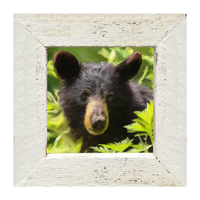 Black Bear Cub - Framed art