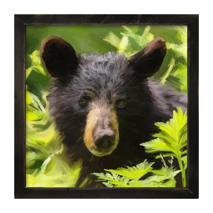 Black Bear Cub - Framed art