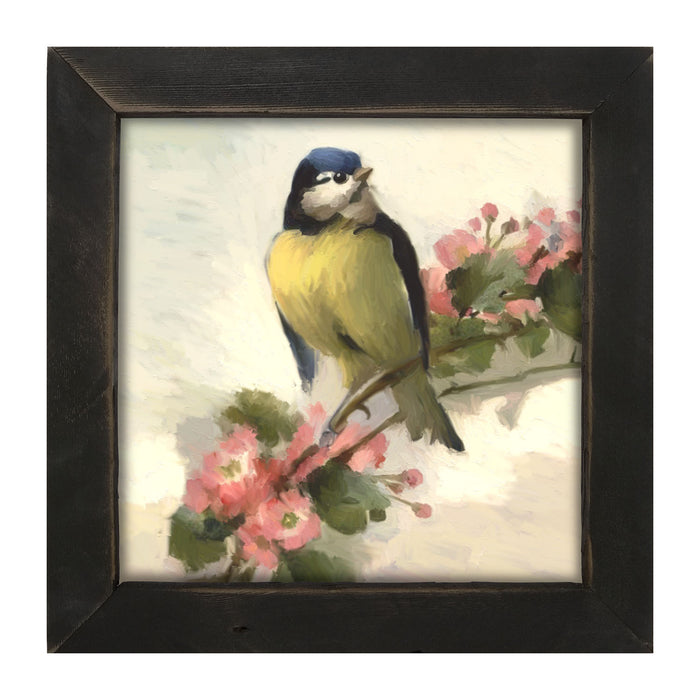 Blue Jay - Framed art
