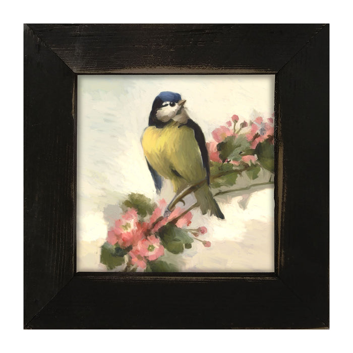 Blue Jay - Framed art