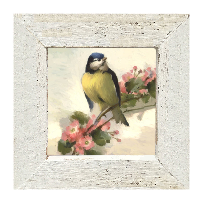 Blue Jay - Framed art