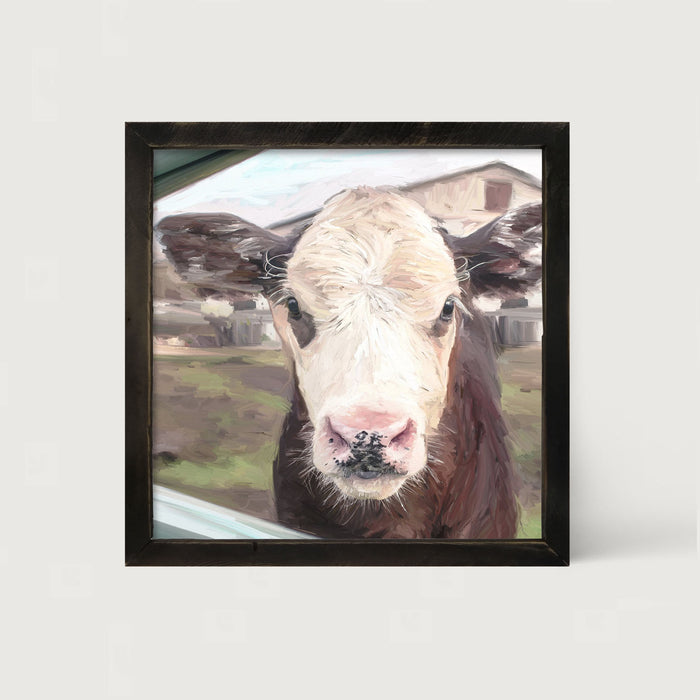 Calf - Framed art