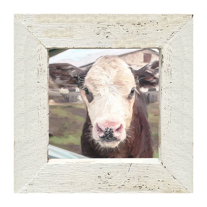 Calf - Framed art