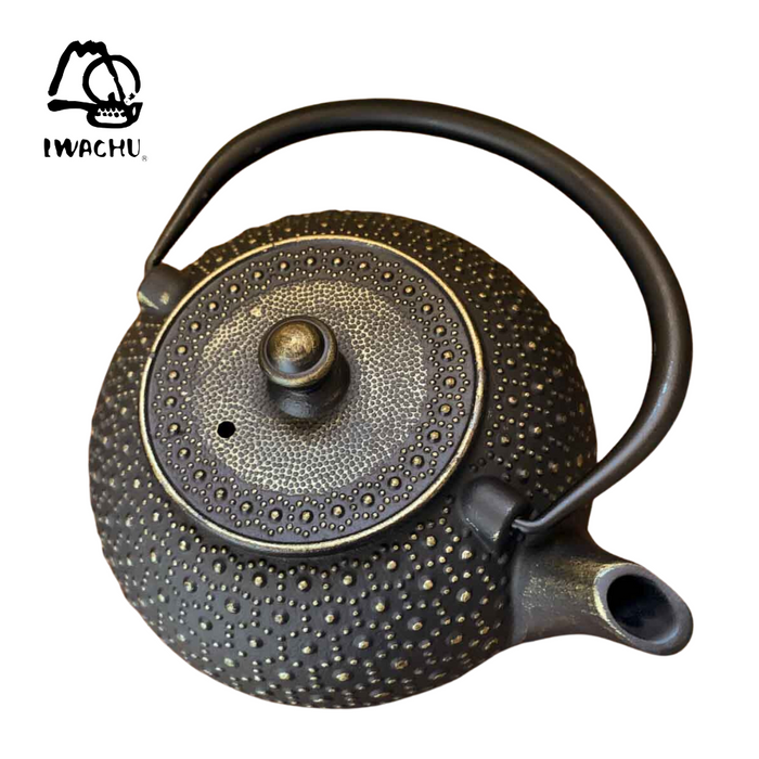 IWACHU Cast Iron Teapot Kettle with Tea Strainer 0.32L (Black & Gold) | Isetan KL Online Store