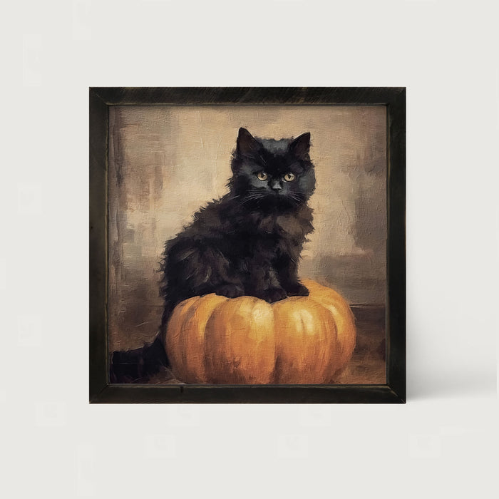 Cat on pumpkin - Framed art