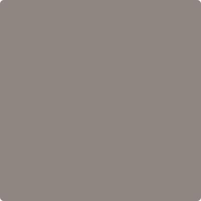 CC-546: Metropolis  a paint color by Benjamin Moore avaiable at Clement's Paint in Austin, TX.