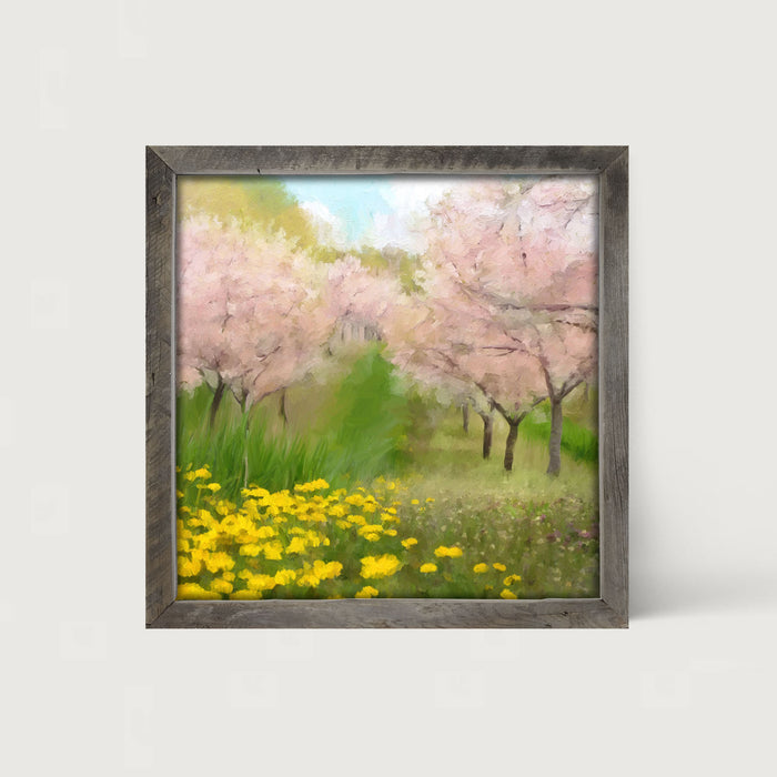 Cherry Blossoms in Bloom - Framed art