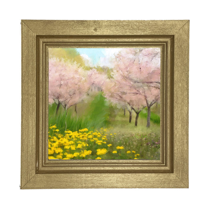 Cherry Blossoms in Bloom - Framed art