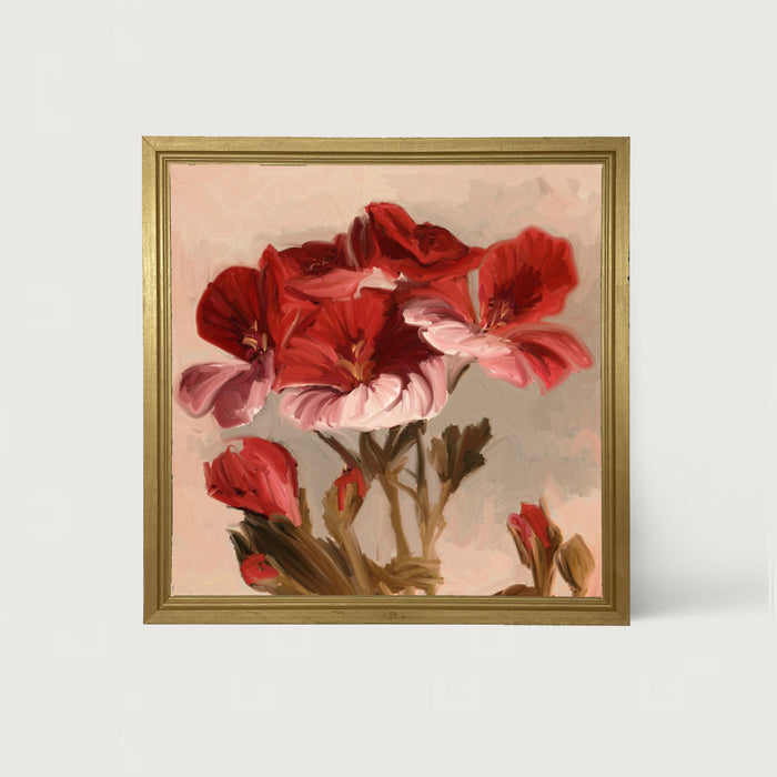 Geranium with Pink Petals - Framed art