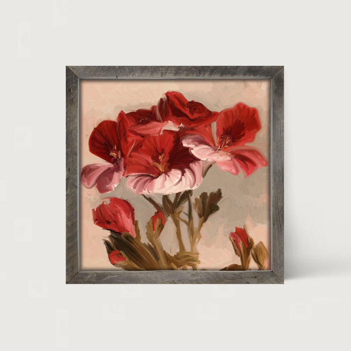 Geranium with Pink Petals - Framed art