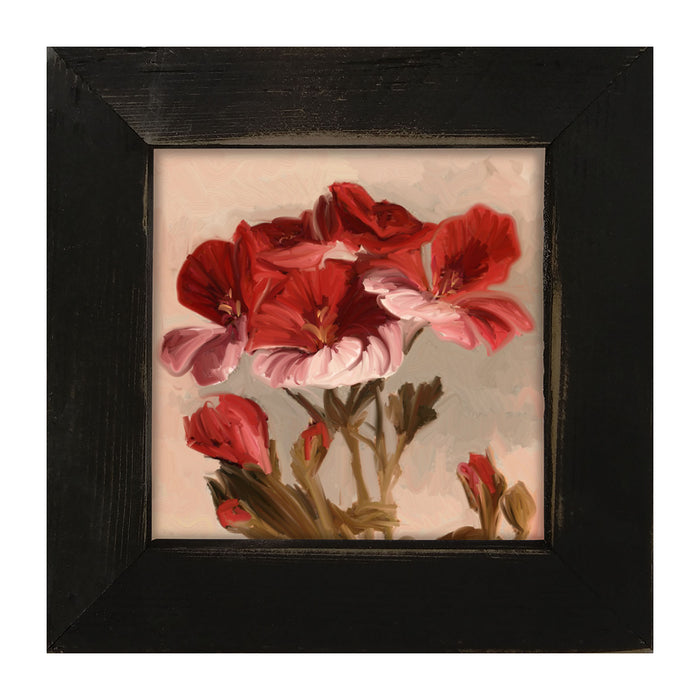 Geranium with Pink Petals - Framed art
