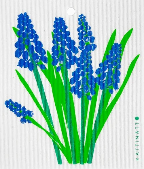 PEARL HYACINTH