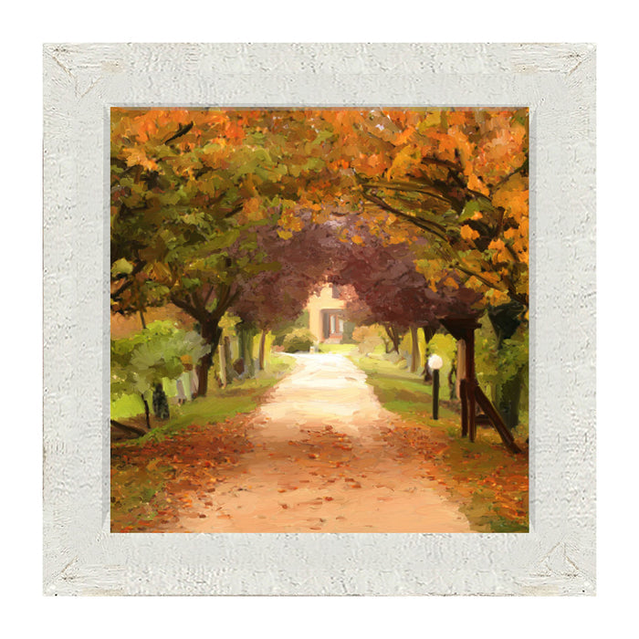 Leaves on sidewalk - Framed art