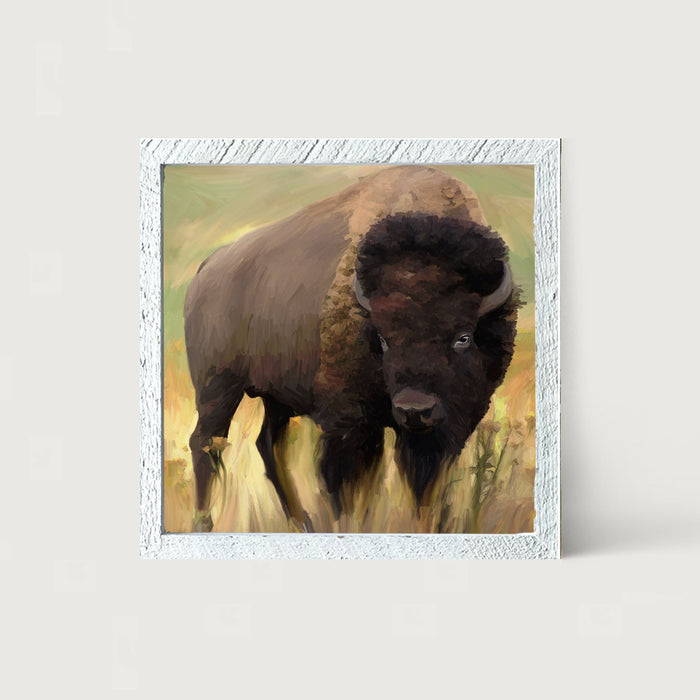Lone Buffalo - Framed art