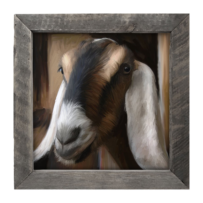 Long Earred Goat - Framed art