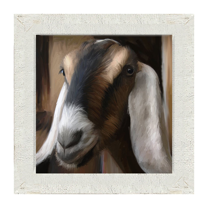 Long Earred Goat - Framed art