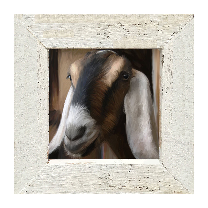 Long Earred Goat - Framed art