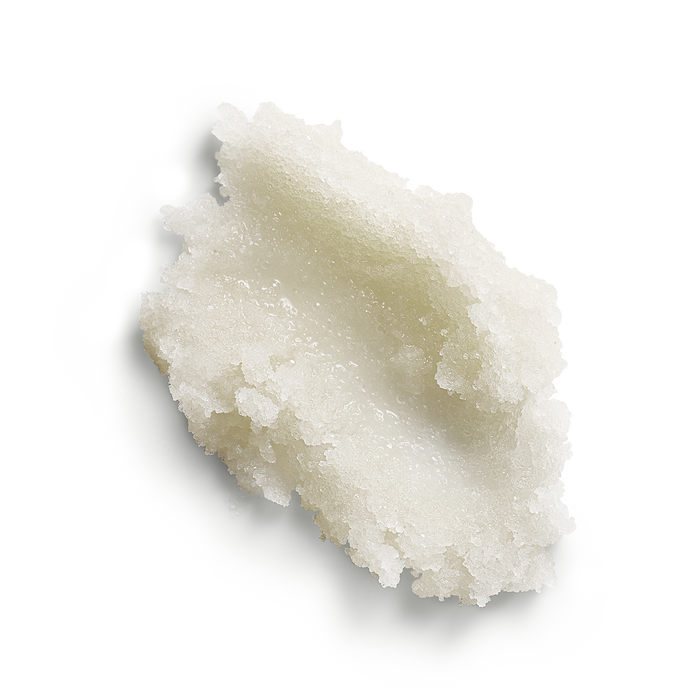 Next Generation Mini Body Scrub Trio